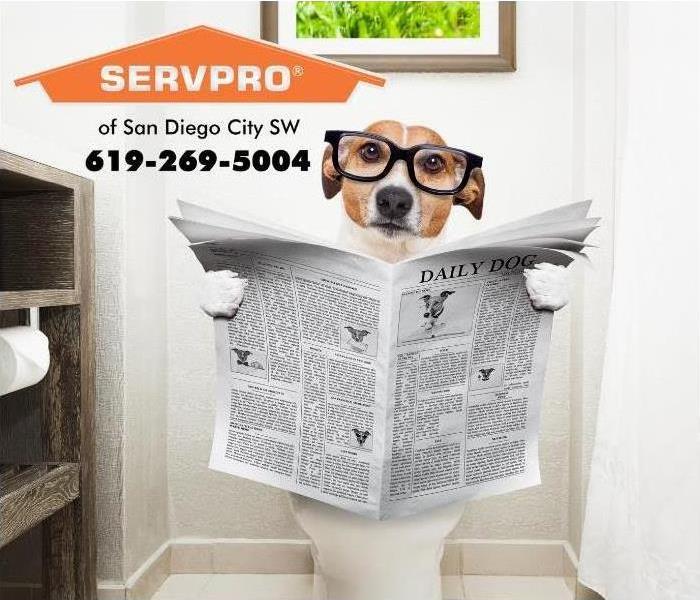 dog sitting on a toilet reading the newspaper 