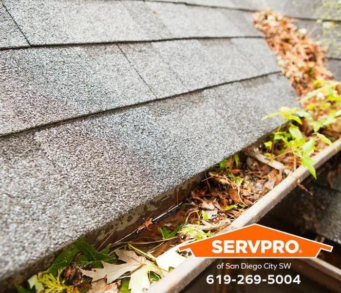 A roof gutter system is clogged with leaves and debris after a storm.
