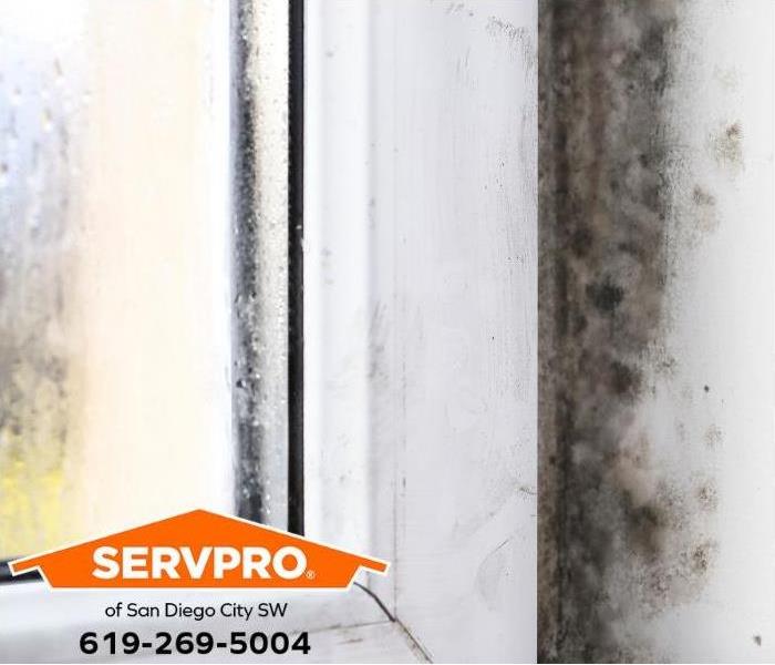 Mold is discovered growing around a leaking window.