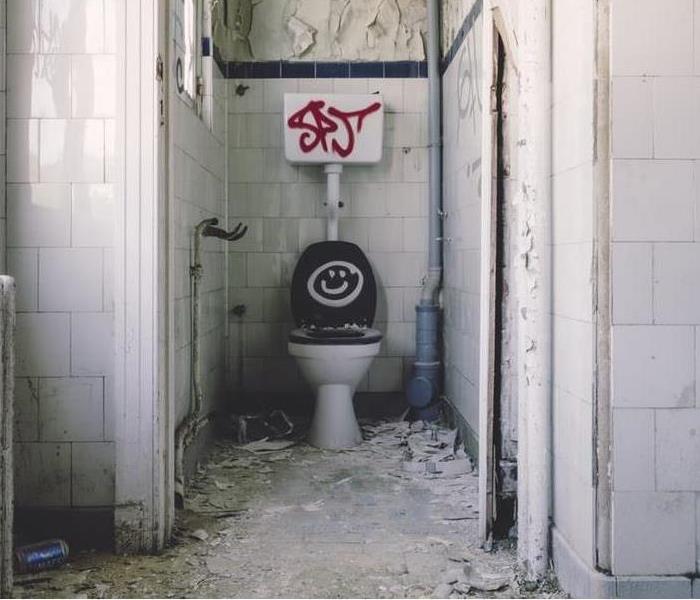 A photo of a toilet.