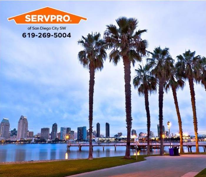A view of downtown San Diego is shown.