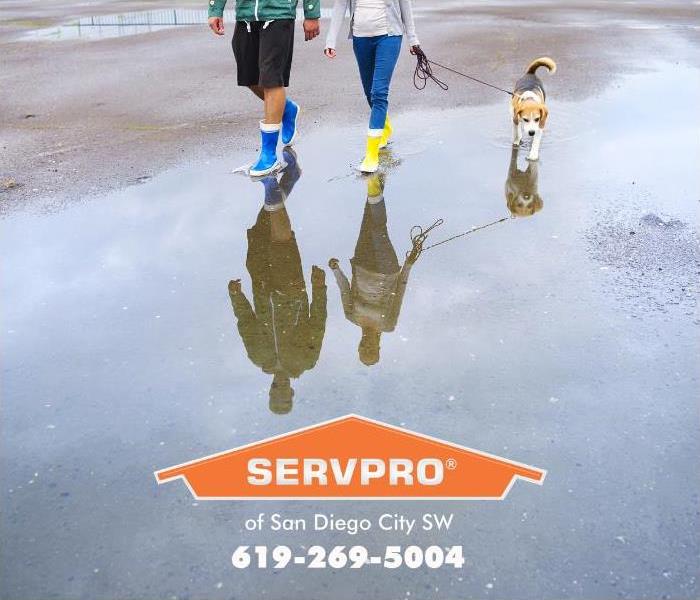 A couple and their dog walk through some puddles after a heavy rain. 