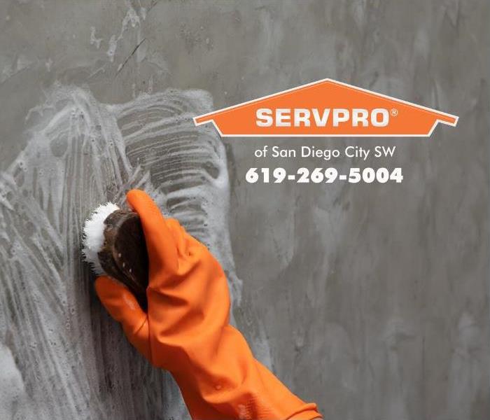An orange-gloved hand is shown scrubbing a wall in a commercial building with a scrub brush. 