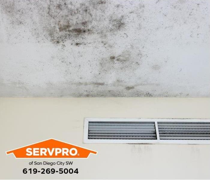 Mold is visible on a ceiling by an air vent.